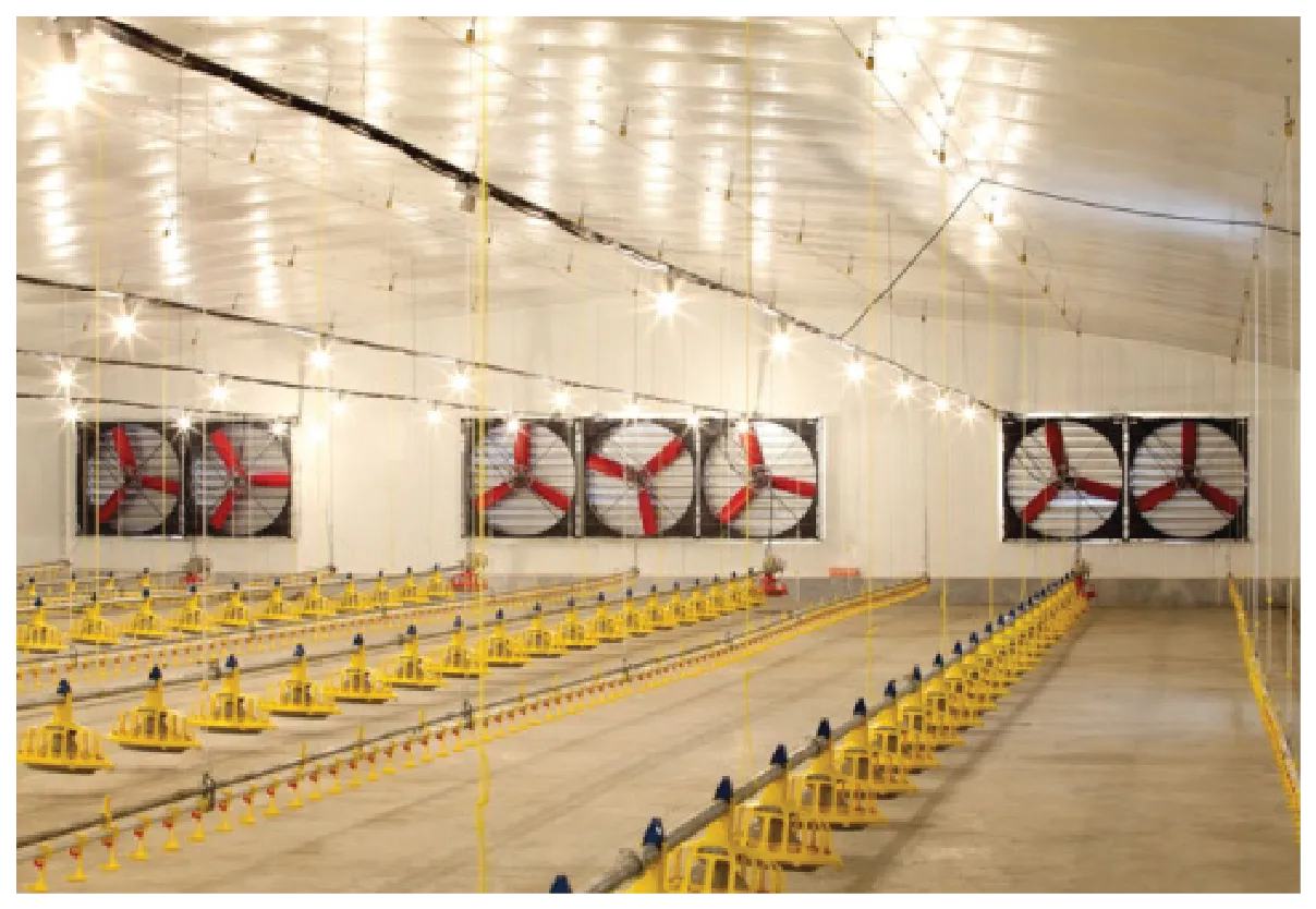 Fiberglass Cone Fans