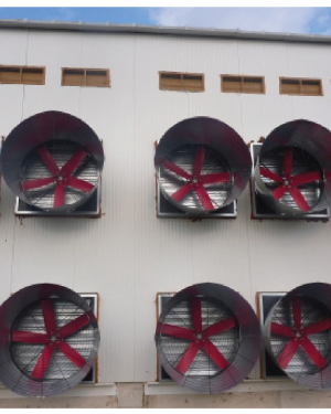 Fiberglass Cone Fans