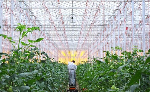 AireGard Horizontal Circulation Fan Greenhouse L