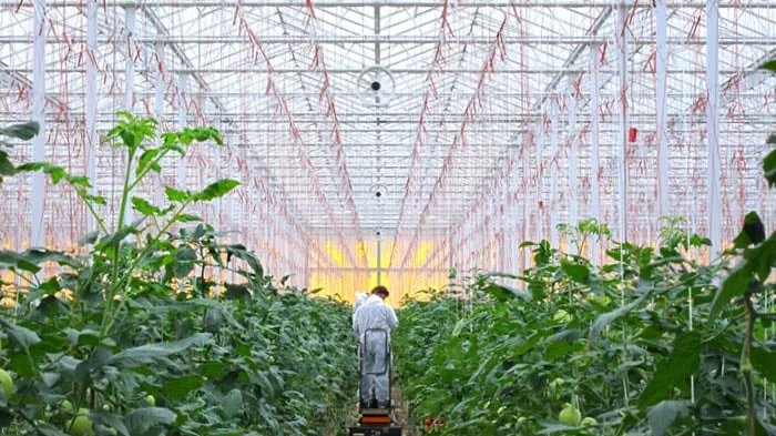 AireGard Horizontal Circulation Fan Greenhouse L