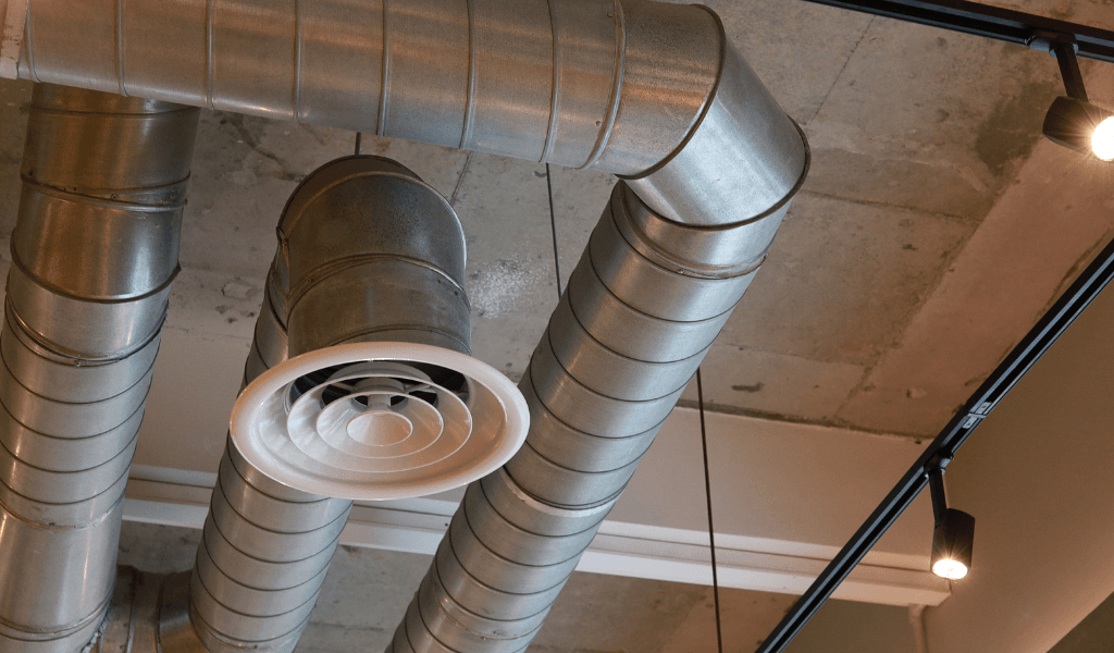 Untitled design (13) (Demo)